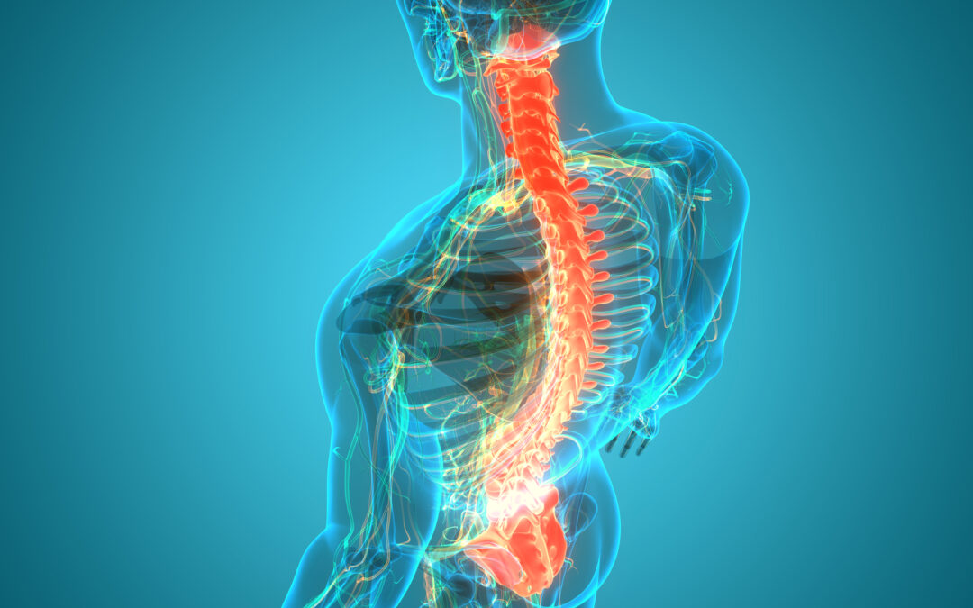 Acute Low Back Pain Management