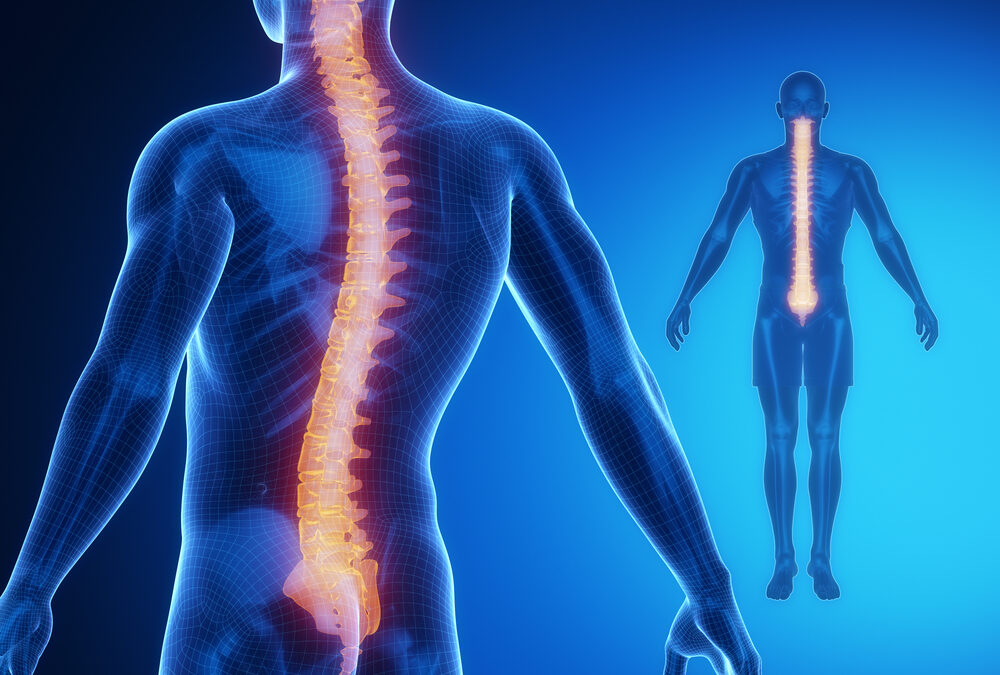 Spinal Deformities | Most Common Types