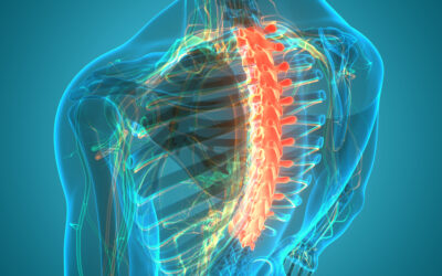 Upper (Thoracic) Back Pain | Understanding Why it Hurts